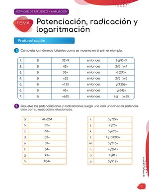 CONEXIONES MATEMATICAS 5 ACTIVIDADES REFUEZO AMPLIACION