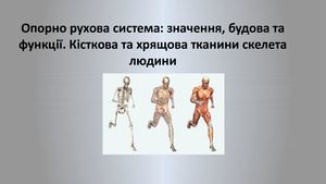 Опорно рухова система Кістки Хрящі