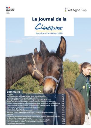 Journal Clinequine - édition 2020