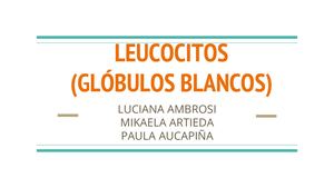 9 Práctica Células Humanas Leucocitos Y Plaquetas