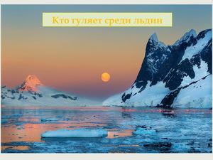 Кто гуляет среди льдин