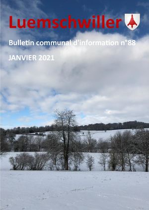 Bulletin Decembre 88