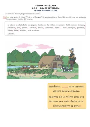 Guia De Ortografia Uso De La Coma