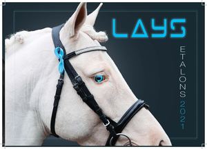 Catalogue Etalons 2021 Ecuries des Lays