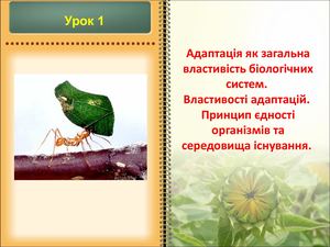 Адаптація як загальна властивістьбіосистем урок 1