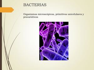 7 Bacterias
