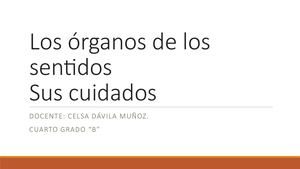 Cuidado de los Sentidos