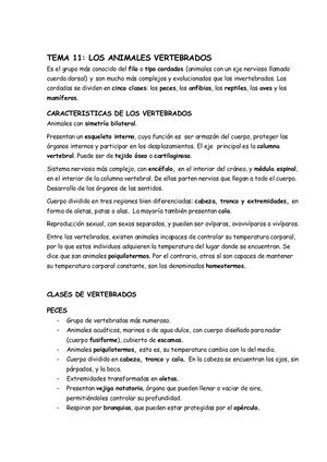 Animales Vertebrados