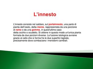 L'innesto