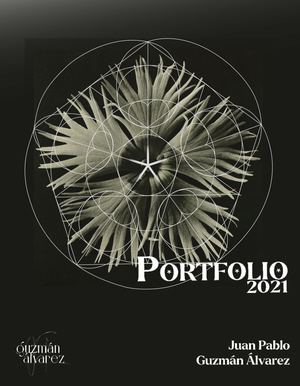 Portfolio - Juan Pablo Guzman Alvarez