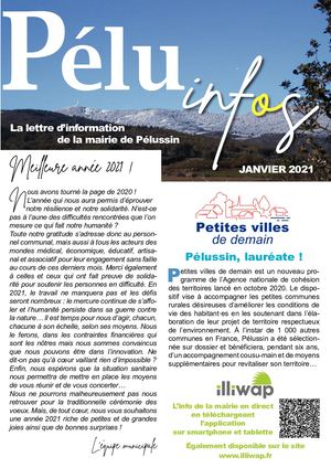 Pélu'infos janvier 2021
