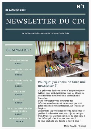 Newsletter Du Cdi Janvier