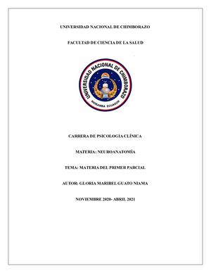 Neuroanatomia Primero B