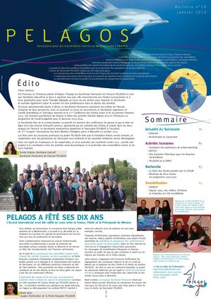 Bulletin Pelagos France 2013