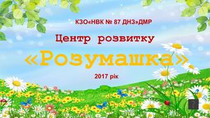 Розумашка 2017