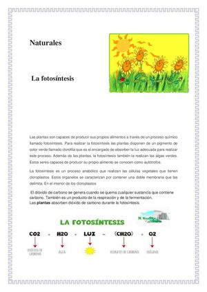 revista digital Valentina