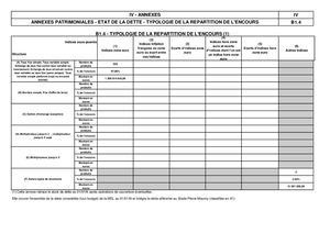 Budget Primitif Annexe 4 Charte Gissler MEL 2020