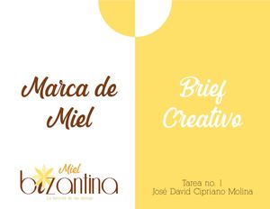 Brief Marca Miel