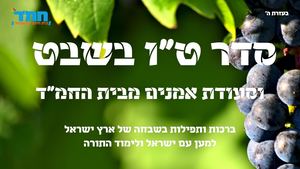 סדר טו בשבט וסעודת אמנים תשפא