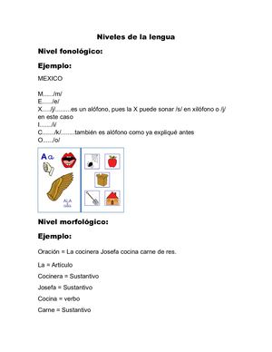 Niveles De La Lengua