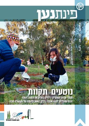 פינת נען | גיליון 1