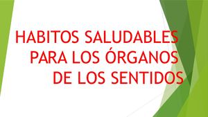 Los 5 Sentidos [Autoguardado]