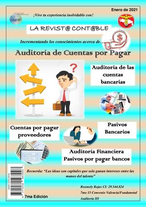 Revista de auditoria