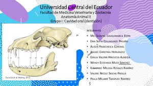 Trabajo grupal sistema digestivo - Cavidad oral (dentición)
