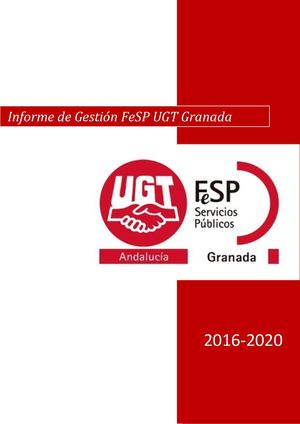Informe De Gestión Completo 2