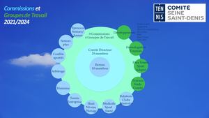 Commissions Et Groupes De Travail Comité Ssd 2021 2024