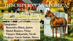 Trabajo Encargado N°1 Grupo Carpincho