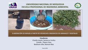Elaboracion De Biogas Ppt