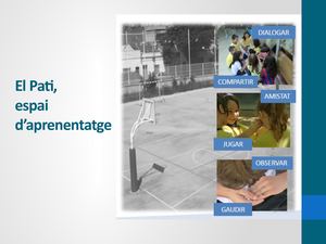 Projecte Pati