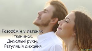 Газообмін у легенях і тканинах. Дихальні рухи. Регуляція дихання