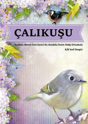 Çalıkuşu