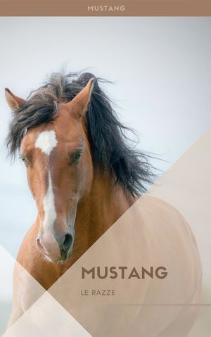 Cavallo Mustang