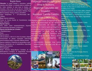 2c Bgu Camila Castillo Proyecto Final (1)