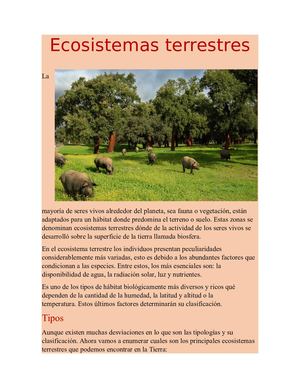 Ecosistemas Terrestres