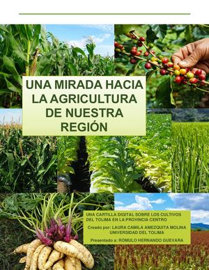 Una Mirada Hacia La Agricultura De Nuestra Región