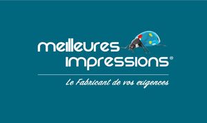 •Presentation MI Web Edition