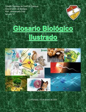 Glosario