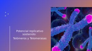 Telomeros Telomerasa Y Efecto Warburg