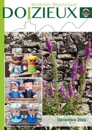 N°10 - Décembre 2020