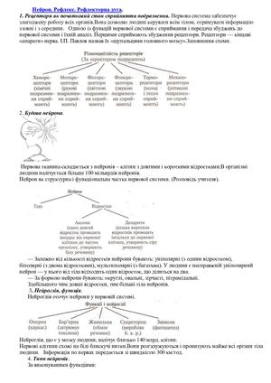 Нейрон картка.