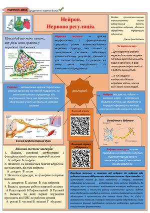 Нейрон. Нервова регуляція. Рефлекторна дуга1