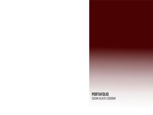 Portafolio Laura Alzate2