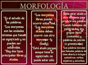 Morfología (Morfology)