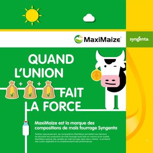 MAXIMAIZE : quand l'union fait la force