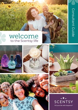 Region 2 Consultant Guide - Feb 2021