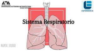 Sistema Respiratorio